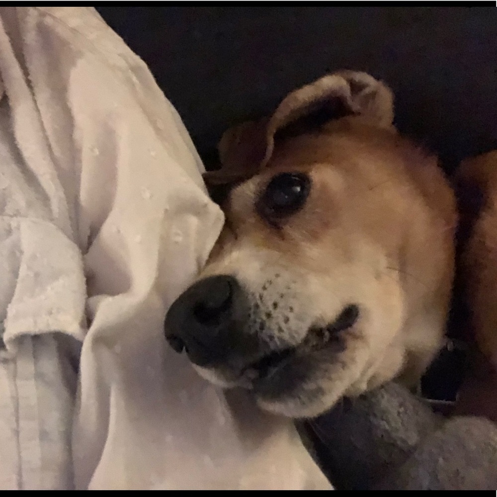 Meet your Posher, Elizabeth